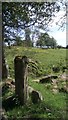 Old Stone Gatepost at Edge of Wood in EH54 9BY