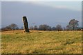 Standing stone at Airlie in DD8 5NQ