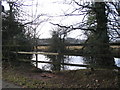Pond by Staircase Lane in CV6 2AJ