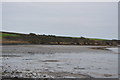 Inter-tidal mud, Buttertreet Cove in DT3 4DW