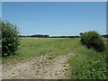 Farmland off School Road in NR9 5NN
