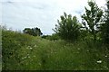 Path through the grass in YO19 5PN
