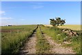 Field Track in AB51 0DQ