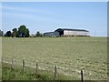 Hayfield and barn at Rushey Law Farm in NE48 3JA