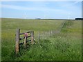 Grassland and fence near Ferneyrigg Farm in NE19 2RF