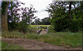 Footbridge on footpath near Butt Hatch Farm, Beauchamp Roding in CM5 0NT