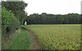 Footpath on field margin near Butthatch Wood, Beauchamp Roding  in CM5 0RW