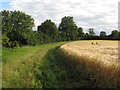 Arable land near Millers Farm, Norwood End in Rural East Ward
