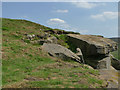 Rocks east of Foster's Leap in BB8 7EH