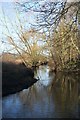 River Cam near Brasley Bridge in CB2 9FX