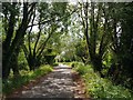 Shripney Lane, heading away from the village in PO22 9PF