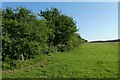Path along the field edge in YO41 1JE