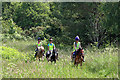 Horse riders at Lindean Nature Reserve in TD7 4QN