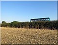 Frisby Lodge trig point in the hedge and a double-decker bus in Frisby on the Wreake