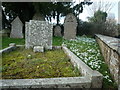 Snowdrops at All Saints Church (Eyton) in HR6 0AG