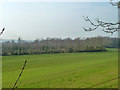 Field and woodland near Alkerden Farm in DA9 9LY