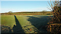 Field near Leigh Barton in TA4 2DP
