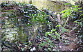 Dry stone wall on west side of Burford Road south of the Shilton turn in OX18 3PA