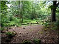 Clearing at the edge of the wood in G62 7RF