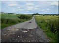 Farm road at Laker Hall in NE43 7UY
