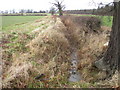 Ditch beside 'Right of Way' to disused airfield. in SY5 7DH