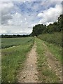 Farm track near Countesthorpe in Whetstone