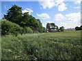 Wheat field and barns at Manor Farm, Keyston in Bythorn and Keyston