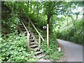 Steps leading to Shavers End Quarry in DY13 0UU