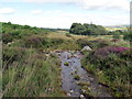 Llwybr yn rhydio nant / Path fording a stream in SA18 2DJ