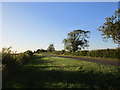 Elton Road near Stibbington in Sibson-cum-Stibbington