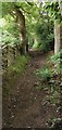 Path below Small Lanes Farm in S36 7JJ