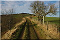 Track above Coldwell Bottom in GL53 9NJ