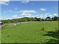 Paddock off Scotland Mill Lane in LS6 4SB