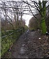 Footpath alongside Allotments - Gelderd Road in LS27 7FE