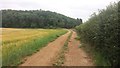Bridleway nearing Great Copse in Fringford & Heyfords Ward