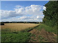 Bridleway, Oakley Hill in Dean and Shelton