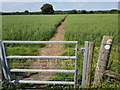 Footpath across crops clearly delineated in B96 6RP