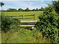 Questionable stile at footpath junction in Stock and Bradley