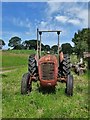 Massey Ferguson 35 at Whitelee Farm in SK11 0QE