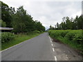Bracken, tree and fence enclosed Pittensorn Road in PH1 4HP