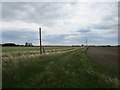 Farm track off Claydike Bank, Algarkirk Fen in Swineshead and Holland Fen Ward