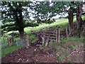 Llwybr ger Gelliwrog / Path near Gelliwrog in SA9 2RY