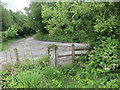 Cyffordd o lwybrau / A junction of paths in SA9 2TE
