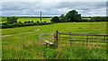 Public footpath near Hopton, Staffordshire in ST18 0AH