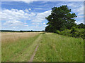Path along top of Night Marsh, Castle Rising in PE31 6DZ