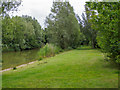 Fishing pond near Birds Green in CM5 0PH