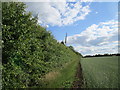 Windmill beyond the hedge in Dean and Shelton