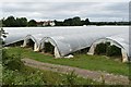 Polytunnels near Loddon Park Farm in RG10 9PJ