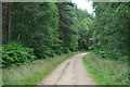 Bridleway through Ringwood Forest in BH24 3FN