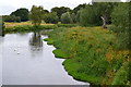 River Avon looking north from Ibsley Bridge in BH24 3PR